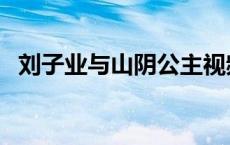 刘子业与山阴公主视频 刘子业与山阴公主 