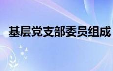 基层党支部委员组成 基层党支部委员分工 