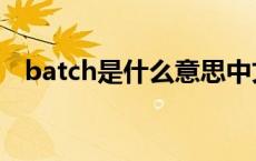 batch是什么意思中文 batch是什么意思 