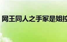 网王同人之手冢是姐控 网王同人之莫怜羽熙 