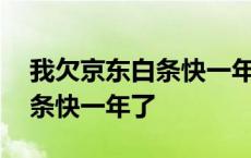 我欠京东白条快一年了怎么还款 我欠京东白条快一年了 