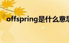 offspring是什么意思 spring是什么意思 