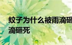 蚊子为什么被雨滴砸不死 蚊子为啥不会被雨滴砸死 