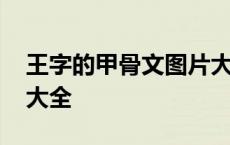 王字的甲骨文图片大全集 王字的甲骨文图片大全 