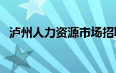 泸州人力资源市场招聘 泸州人力资源市场 