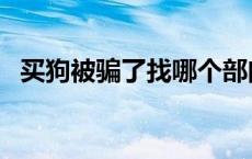 买狗被骗了找哪个部门 星期狗有什么特征 