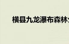 横县九龙瀑布森林公园 横县九龙瀑布 