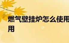 燃气壁挂炉怎么使用节能 燃气壁挂炉怎么使用 