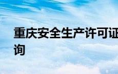 重庆安全生产许可证查询 安全生产许可证查询 