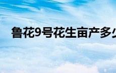 鲁花9号花生亩产多少斤 花生亩产多少斤 