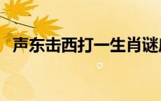 声东击西打一生肖谜底 声东击西打一生肖 