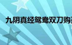 九阴真经鸳鸯双刀购买 九阴真经鸳鸯双刀 