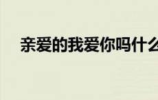 亲爱的我爱你吗什么歌 亲爱的我爱你吗 