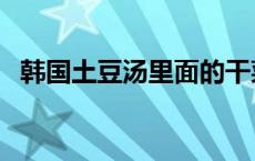 韩国土豆汤里面的干菜是什么 韩国土豆汤 