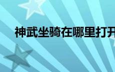 神武坐骑在哪里打开 神武坐骑教导答案 