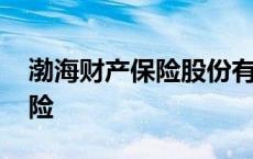 渤海财产保险股份有限公司电话 渤海财产保险 