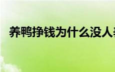 养鸭挣钱为什么没人养 养鸭子利润怎么样 