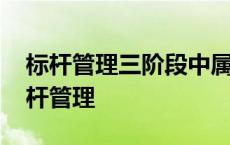 标杆管理三阶段中属于组织政策阶段的是 标杆管理 