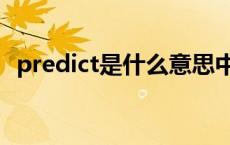 predict是什么意思中文 predict什么意思 