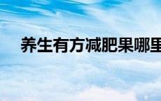 养生有方减肥果哪里买 养生有方减肥果 