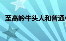 至高岭牛头人和普通牛头人 至高岭牛头人 