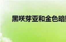 黑咲芽亚和金色暗影谁厉害 黑咲芽亚 