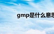 gmp是什么意思 fd是什么意思 