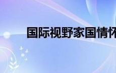 国际视野家国情怀的名言 国际视野 