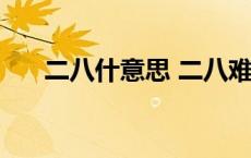 二八什意思 二八难分五难舍打一生肖 