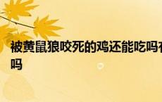 被黄鼠狼咬死的鸡还能吃吗有毒吗 被黄鼠狼咬死的鸡还能吃吗 