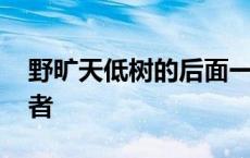 野旷天低树的后面一句是什么 野旷天低树作者 