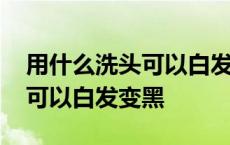 用什么洗头可以白发变黑不掉发 用什么洗头可以白发变黑 