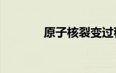 原子核裂变过程 原子核裂变 