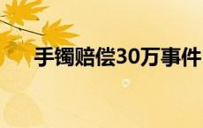 手镯赔偿30万事件 手镯事件成功和解 