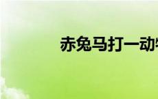 赤兔马打一动物 赤兔打一字 