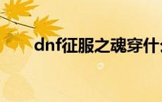 dnf征服之魂穿什么甲 dnf征服之魂 