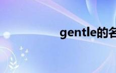 gentle的名词 gentle 