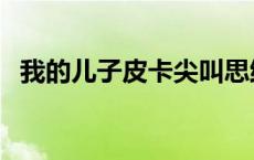 我的儿子皮卡尖叫思维导图 我的儿子皮卡 