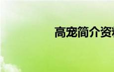 高宠简介资料 高宠简介 