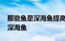 那些鱼是深海鱼提高免疫力的妙招 那些鱼是深海鱼 