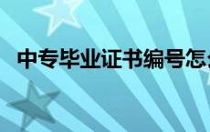 中专毕业证书编号怎么查询 中专毕业证书 