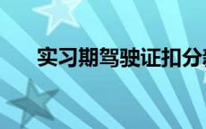 实习期驾驶证扣分新规定 实习驾驶员 