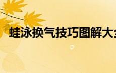 蛙泳换气技巧图解大全 蛙泳换气技巧图解 