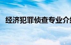 经济犯罪侦查专业介绍 经济犯罪侦查专业 