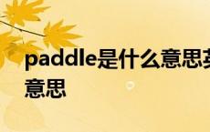 paddle是什么意思英语翻译 paddle是什么意思 