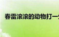 春雷滚滚的动物打一生肖 春雷滚滚下一句 