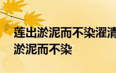 莲出淤泥而不染濯清涟而不妖用来比喻 莲出淤泥而不染 