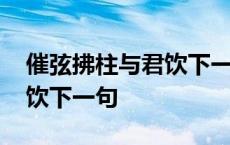 催弦拂柱与君饮下一句是什么 催弦拂柱与君饮下一句 