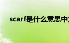 scarf是什么意思中文 scarf是什么意思 