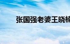 张国强老婆王晓楠演员 张国强老婆 